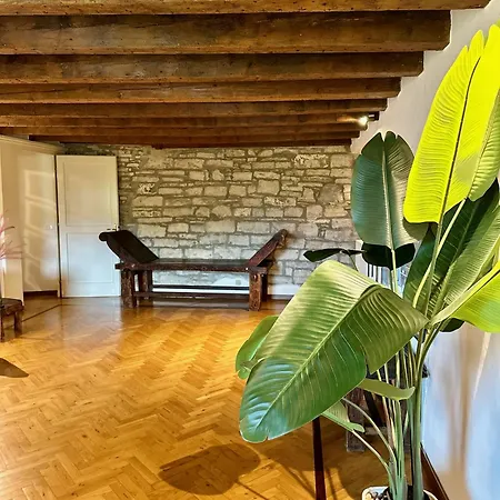Magic Place - Namaste With Hills View - Citta Alta Apartment *